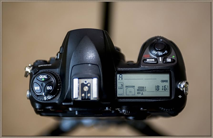 美品Nikon D200 Amazon Canada: Nikon D200 10.2MP Digital SLR Camera with 18